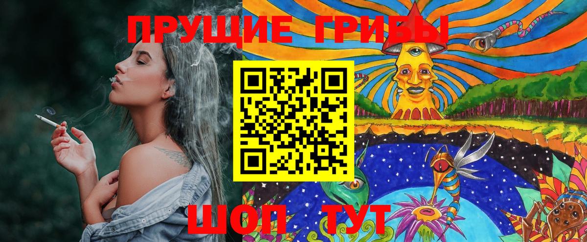 Псилоцибиновые грибы GOLDEN TEACHER  Псилоцибиновые грибы Psilocybine cubensis  Ирбит  Вход с VPN 